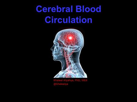 Cerebral Blood Circulation Khaleel Alyahya, PhD,