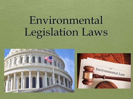 Environmental Protection Agency (EPA)  Founded by U.S. government (under Richard Nixon) in 1970  William Ruckleshaus was first EPA administrator  a.