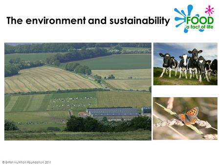 © British Nutrition Foundation 2011 The environment and sustainability.