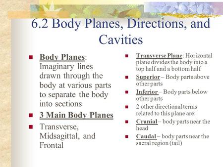 6.2 Body Planes, Directions, and Cavities