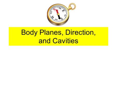 Body Planes, Direction, and Cavities. Facing East or West It would be difficult to apply these terms to the human body and other directional terms have.