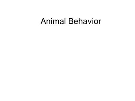 Animal Behavior.