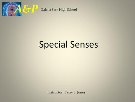 Special Senses Galena Park High School A&P Instructor: Terry E. Jones.