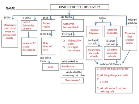 HISTORY OF CELL DISCOVERY Merchants Used hand lenses to assess cloth quality Thin slices of cork Cells Invented 1 st crude microscope 1)High quality lenses.