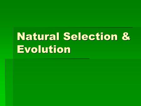 Natural Selection & Evolution. I. Natural Selection & Charles Darwin  Due to earth’s long history; life is thought to have evolved over time  Charles.