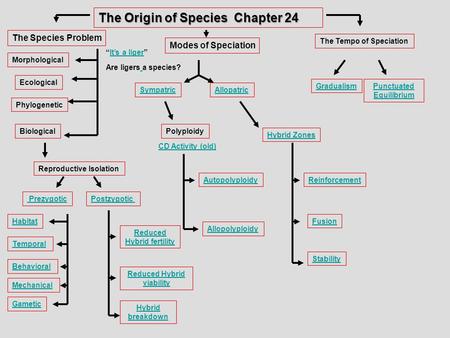 The Origin of Species Chapter 24 The Species Problem Modes of Speciation The Tempo of Speciation GradualismPunctuated Equilibrium Morphological Ecological.