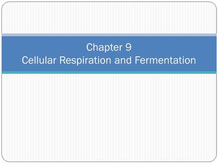 Chapter 9 Cellular Respiration and Fermentation