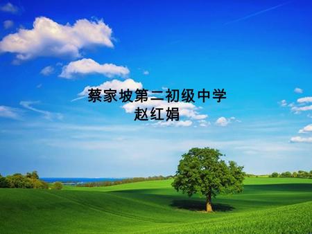 蔡家坡第二初级中学 赵红娟. Do you have any problems in your daily life?