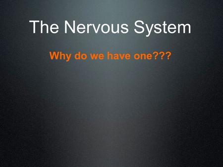 The Nervous System Why do we have one???. 4 main functions  Orientation of body to internal and external environments - ??  Coordinates body activities.