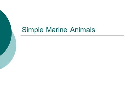 Simple Marine Animals.