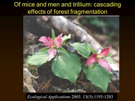 Of mice and men and trillium: cascading effects of forest fragmentation Ecological Applications 2003. 13(5):1193-1203.