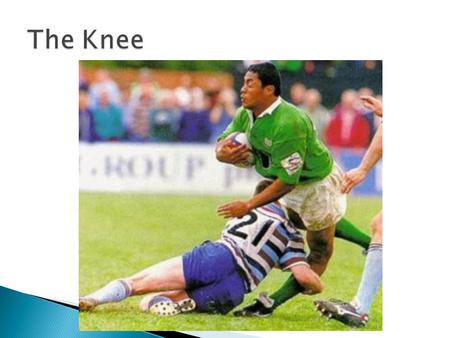 The Knee.