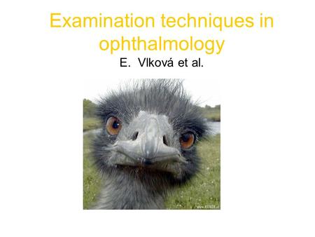 Examination techniques in ophthalmology E. Vlková et al.