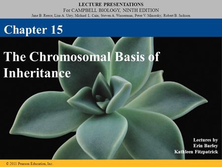 LECTURE PRESENTATIONS For CAMPBELL BIOLOGY, NINTH EDITION Jane B. Reece, Lisa A. Urry, Michael L. Cain, Steven A. Wasserman, Peter V. Minorsky, Robert.