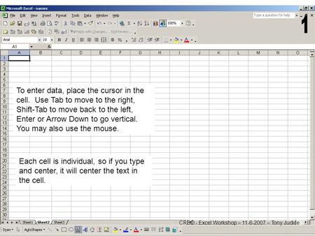 To enter data, place the cursor in the cell. Use Tab to move to the right, Shift-Tab to move back to the left, Enter or Arrow Down to go vertical. You.