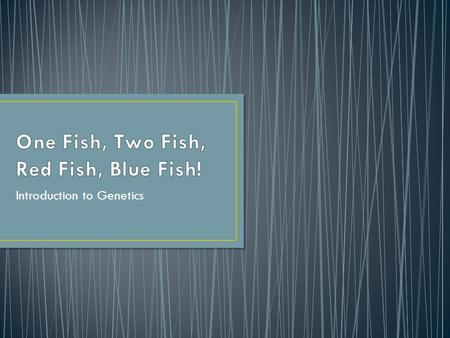 Introduction to Genetics. Your envelope has 4 fish Red fish- female traits Blue fish- male traits Work with a partner to determine what the offspring.