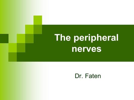 The peripheral nerves Dr. Faten.