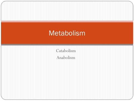 Metabolism Catabolism Anabolism.