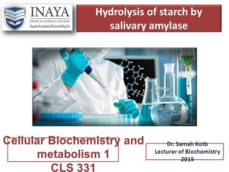 Hydrolysis of starch by salivary amylase Dr. Samah Kotb Lecturer of Biochemistry 2015 Cellular Biochemistry and metabolism 1 CLS 331.