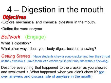 4 – Digestion in the mouth