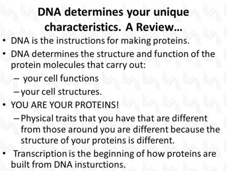 DNA determines your unique characteristics. A Review… DNA is the instructions for making proteins. DNA determines the structure and function of the protein.