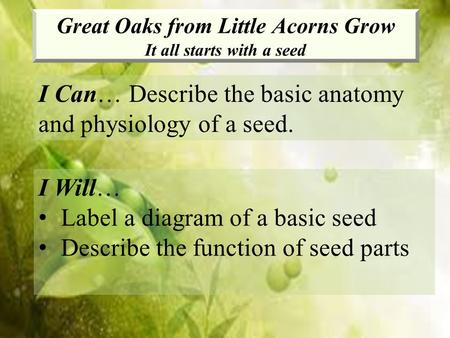 Great Oaks from Little Acorns Grow It all starts with a seed I Can… Describe the basic anatomy and physiology of a seed. I Will… Label a diagram of a basic.