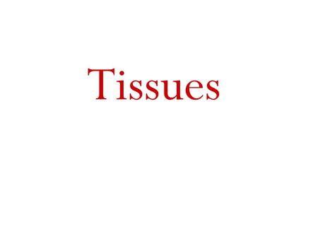 Tissues. Tissue Types Four major tissue types –Epithelial –Connective –Muscle –Nervous.