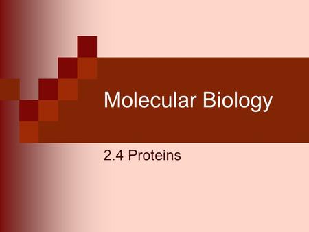 Molecular Biology 2.4 Proteins. Made of C, H, O and N Proteins are large molecules constructed of many amino acids Most abundant organic compound found.