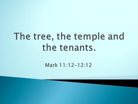 Mark 11:12-12:12.  The next day as they were leaving Bethany, Jesus was hungry. Seeing in the distance a fig tree in leaf, he went to find out if it.