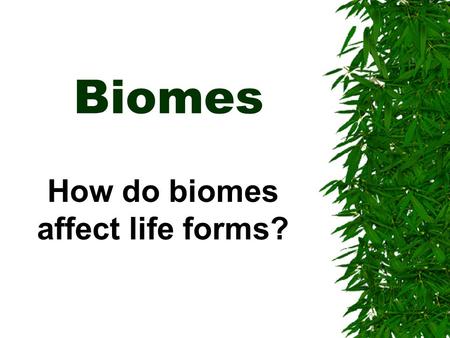 Biomes How do biomes affect life forms?. Biomes: