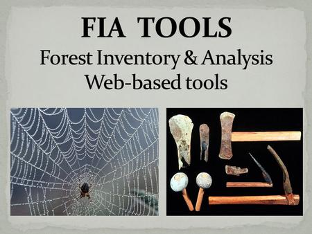 Overview of the FIATOOLS web page Brief introduction to the DataMart Focus is on FIDO – Forest Inventory Data Online A tool that helps you produce summary.