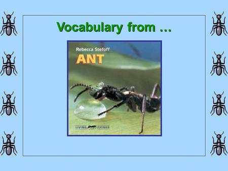 Vocabulary from … An ant uses its __________ like we use our nose and fingers.