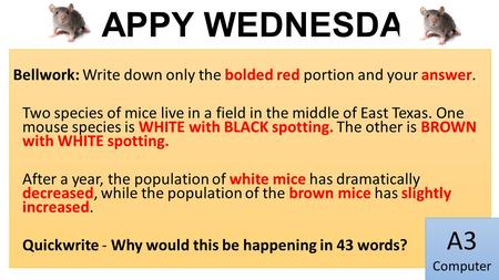 HAPPY WEDNESDAY Bellwork: Write down only the bolded red portion and your answer. Two species of mice live in a field in the middle of East Texas. One.