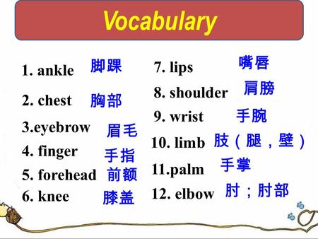 1. ankle 2. chest 3.eyebrow 4. finger 5. forehead 6. knee 脚踝 眉毛 胸部 手指 前额 膝盖 10. limb 11.palm 12. elbow 肢（腿，壁） 手掌 肘；肘部 7. lips 8. shoulder 9. wrist 嘴唇.