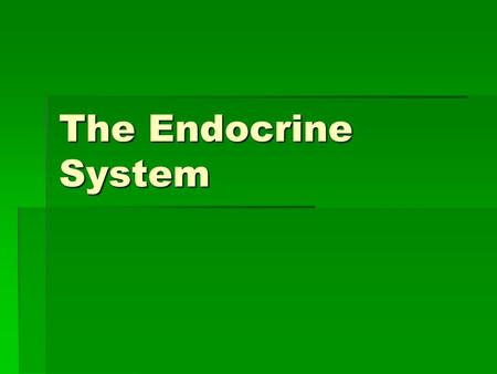 The Endocrine System. Think… Pair… Share…  How does the body grow during adolescence?