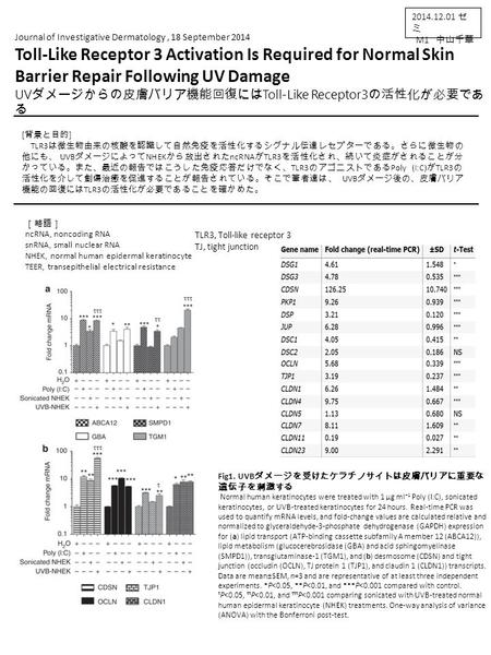 [ 背景と目的 ] TLR3 は微生物由来の核酸を認識して自然免疫を活性化するシグナル伝達レセプターである。さらに微生物の 他にも、 UVB ダメージによって NHEK から放出された ncRNA が TLR3 を活性化され、続いて炎症がされることが分 かっている。また、最近の報告ではこうした免疫応答だけでなく、