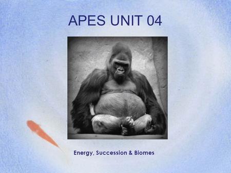 APES UNIT 04 Energy, Succession & Biomes. Chapter 8 Biomes.