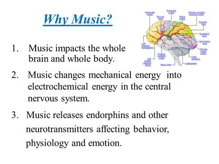 1. Music impacts the whole brain and whole body. Why Music? 2.Music changes mechanical energy into electrochemical energy in the central nervous system.