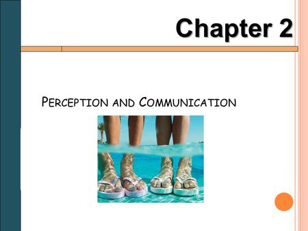 P ERCEPTION AND C OMMUNICATION Chapter 2. T OPICS The process of human perception Influences on perception Social media and perception Guidelines for.