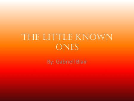 The Little Known Ones By: Gabriell Blair. Benjamin Bradley Ben Bradley was a slave. He was employed at a printing office and later at the Annapolis Naval.