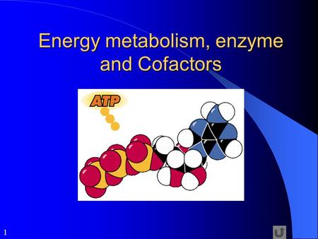 1 Energy metabolism, enzyme and Cofactors. 2 Forms of Energy These forms of energy are important to life: – chemical – radiant (examples: heat, light)