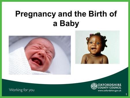 Pregnancy and the Birth of a Baby 1. Your Daily Routine Use the 24 hour clock to map out a typical day. Think about how you spend your time from the moment.