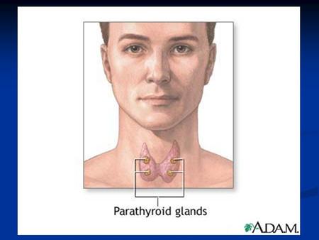 Parathyroid Hyperplasia( %10 ) Parathyroid Carcinoma < %1