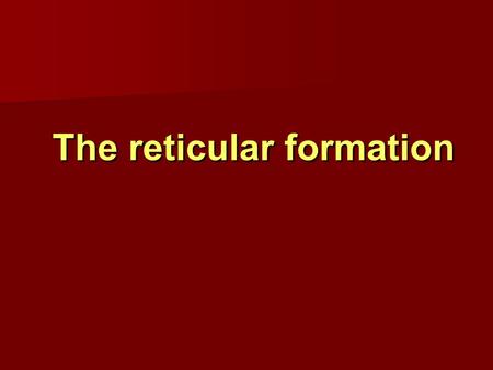 The reticular formation The reticular formation. Reticular Formation Reticular Formation   loosely arranged neuron cell bodies intermingled with bundles.