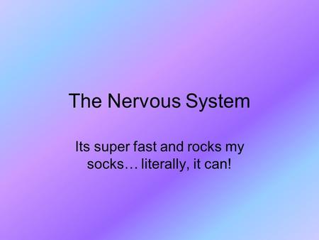 The Nervous System Its super fast and rocks my socks… literally, it can!