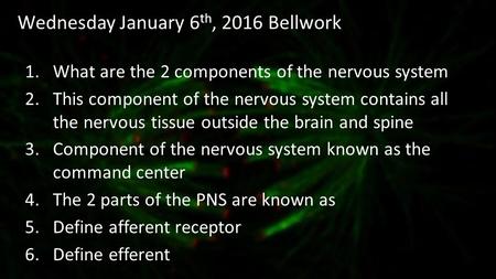 Wednesday January 6 th, 2016 Bellwork 1.What are the 2 components of the nervous system 2.This component of the nervous system contains all the nervous.