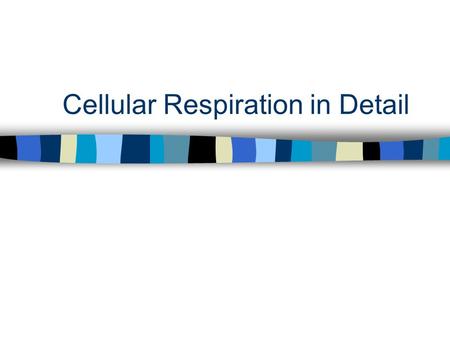 Cellular Respiration in Detail. Cellular Respiration The process where stored energy is converted to a usable form. Oxygen and glucose are converted to.