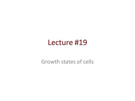 Lecture #19 Growth states of cells. Outline Objective functions The BOF The core E. coli model The genome-scale E. coli model Using BOF.