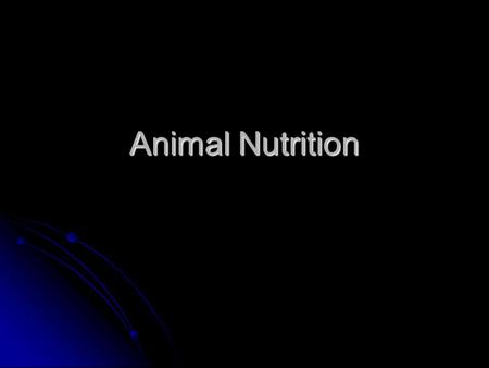 Animal Nutrition. Terms Objectives Carbohydrates Carbohydrates Fats & Oils Fats & Oils Proteins Proteins Vitamins Vitamins Minerals Minerals Water Water.