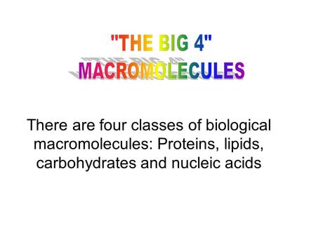 There are four classes of biological macromolecules: Proteins, lipids, carbohydrates and nucleic acids.